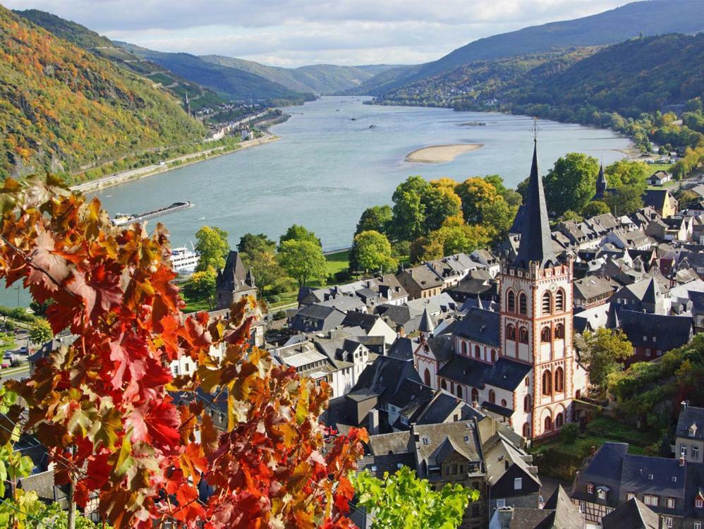 Ferienwohnung "Gecko" Andernach Dış mekan fotoğraf